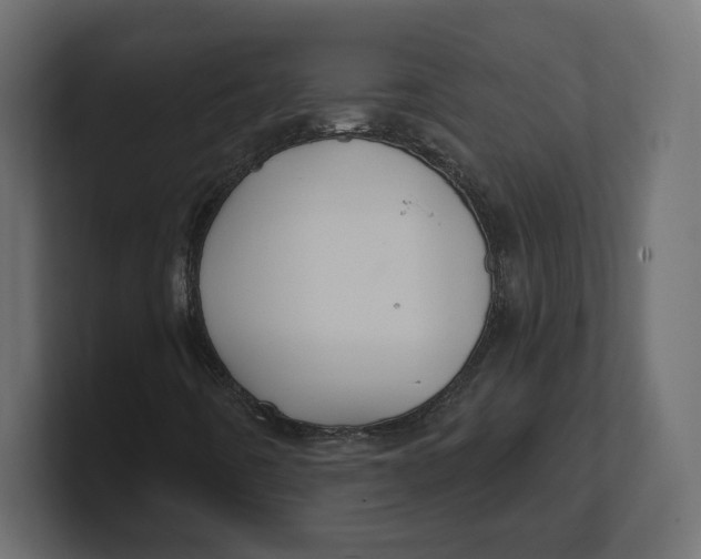 X0000100361442200806271413