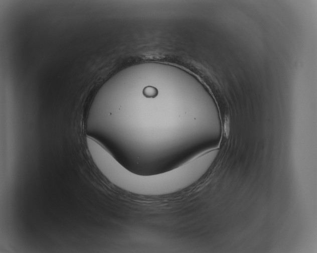 X0000100361444200806271413