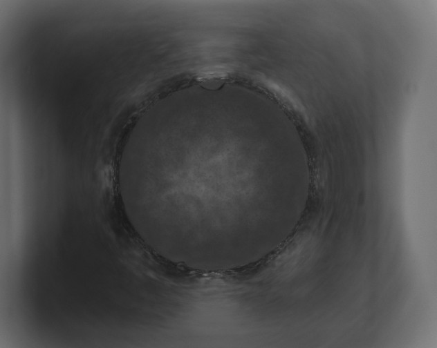 X0000100361445200806271413