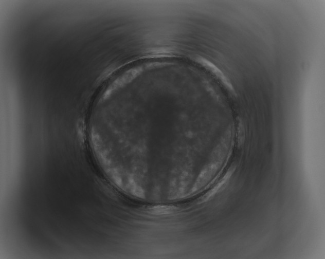 X0000100361449200806271413