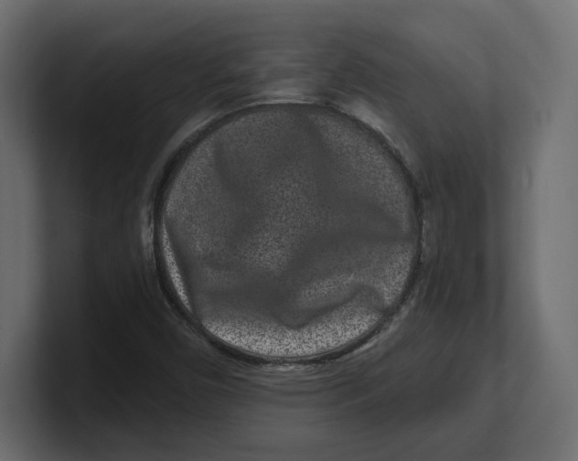 X0000100361450200806271413