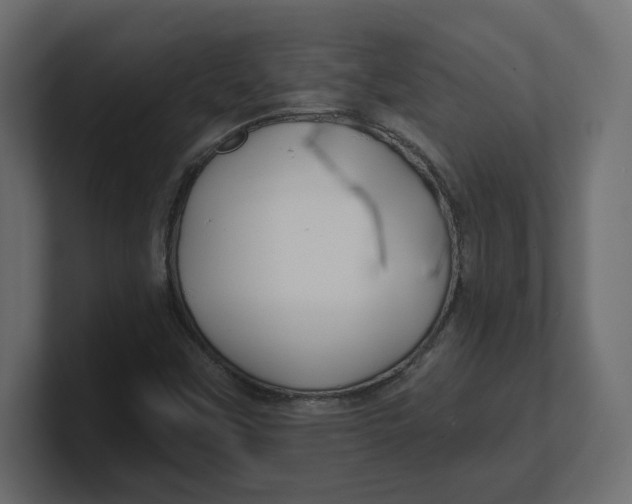 X0000100361451200806271413