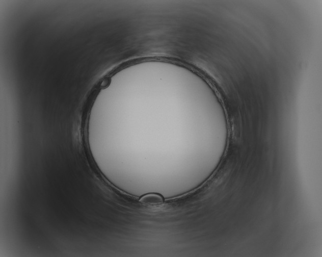 X0000100361452200806271413