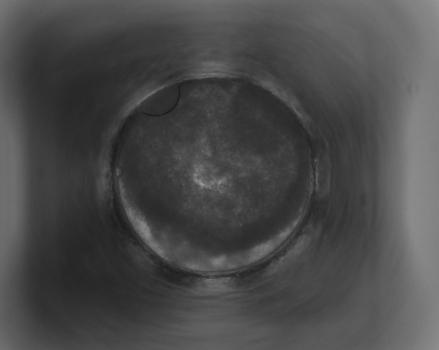 X0000100361453200806271413