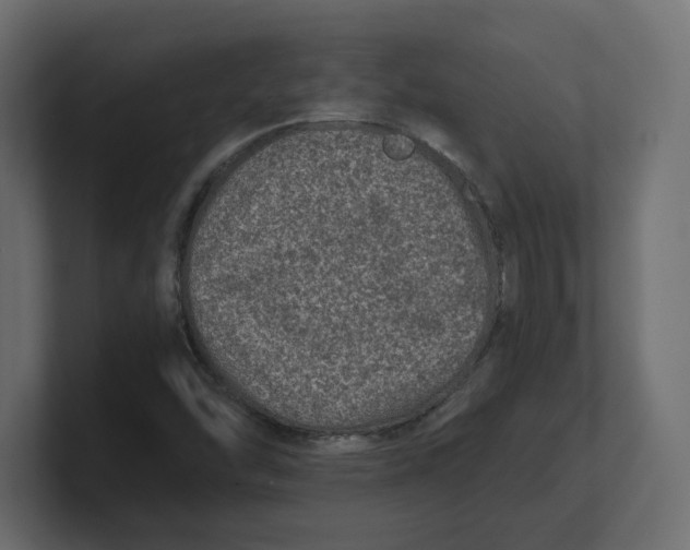 X0000100361454200806271413