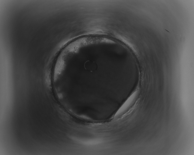 X0000100361455200806271413