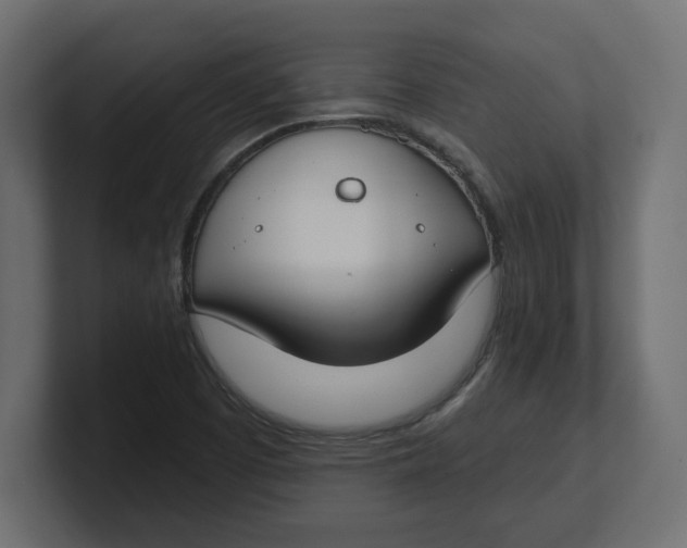 X0000100361457200806271413