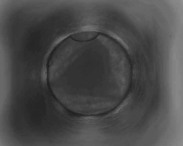 X0000100361461200806271413