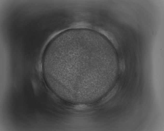 X0000100361462200806271413