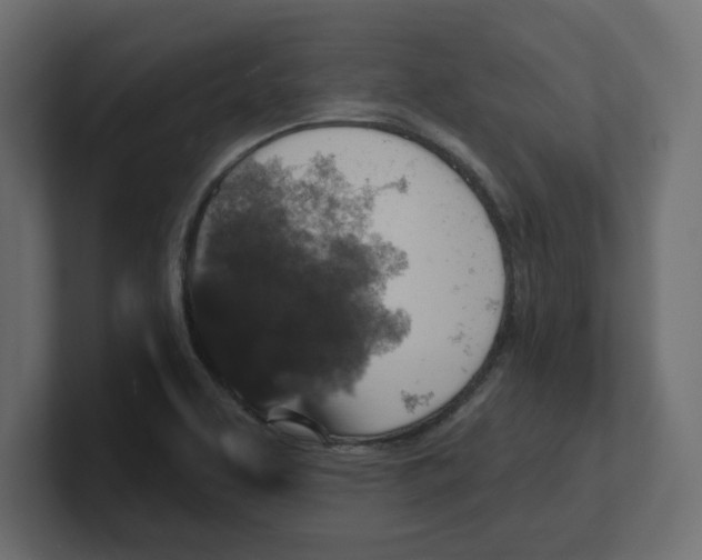 X0000100361463200806271413