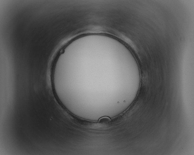 X0000100361464200806271413