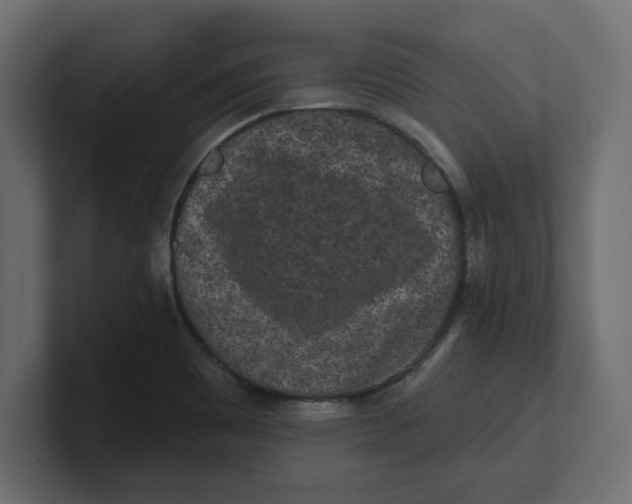 X0000100361465200806271413