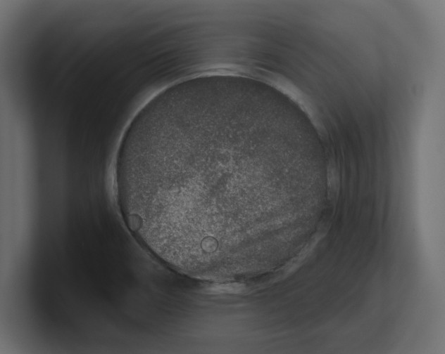 X0000100361466200806271413