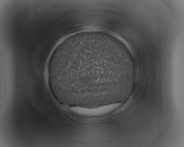 X0000100361467200806271413