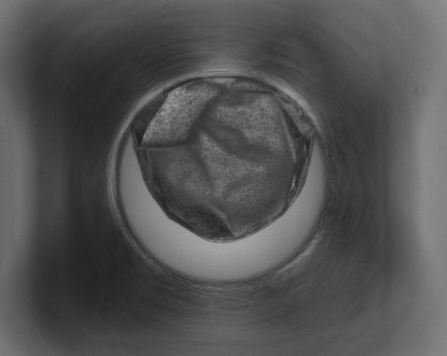 X0000100361469200806271413