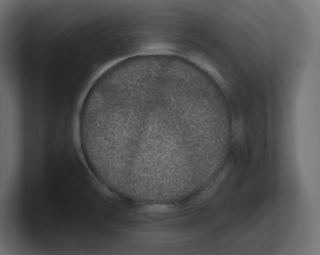 X0000100361470200806271413