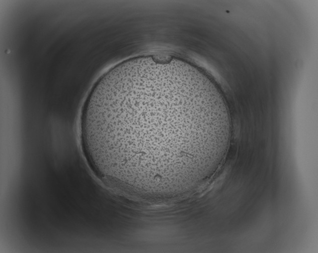 X0000100361471200806271413