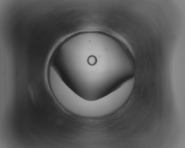 X0000100361472200806271413