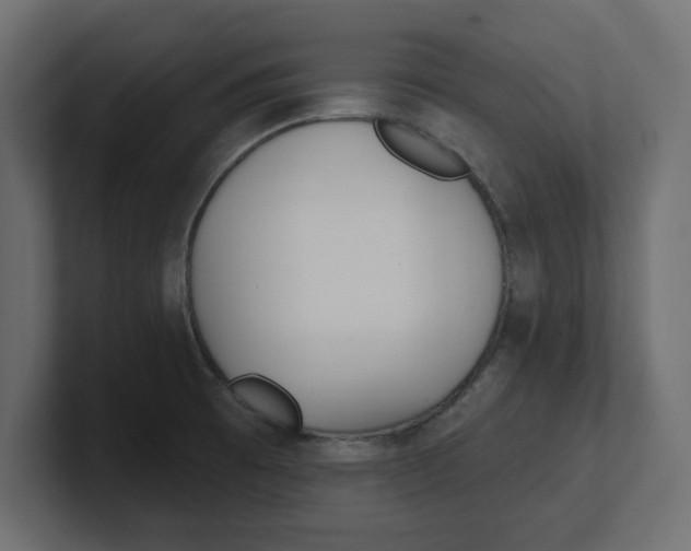 X0000100361473200806271413