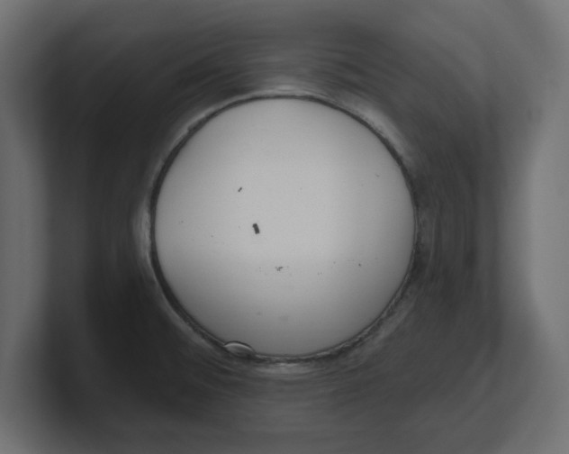 X0000100361476200806271413