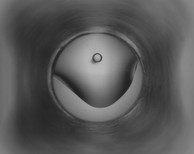 X0000100361477200806271413