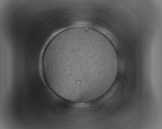 X0000100361478200806271413