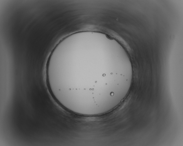 X0000100361479200806271413