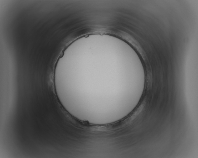 X0000100361481200806271413