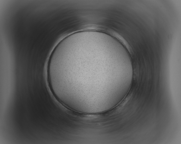 X0000100361483200806271413