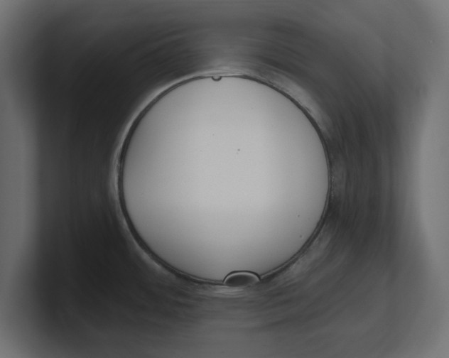 X0000100361484200806271413