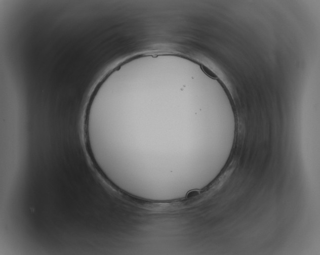 X0000100361485200806271413