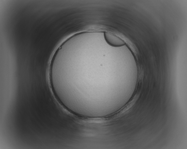 X0000100361486200806271413