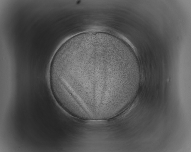 X0000100361487200806271413