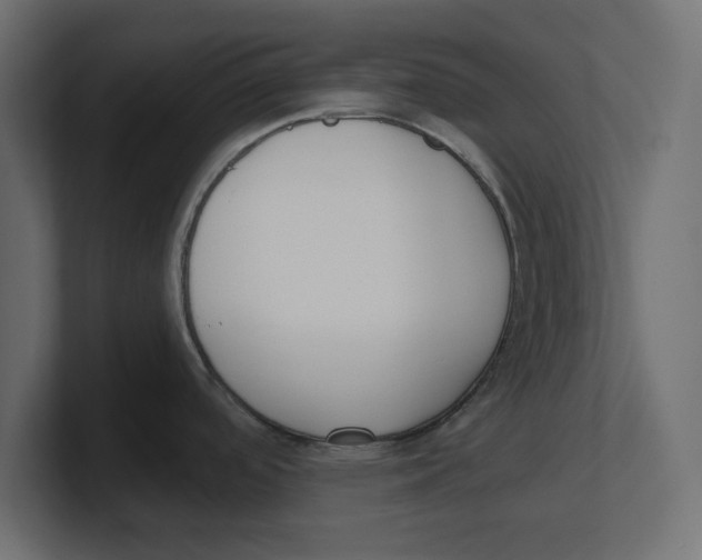 X0000100361488200806271413