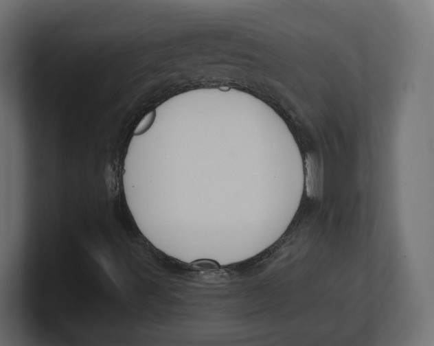 X0000100361491200806271412