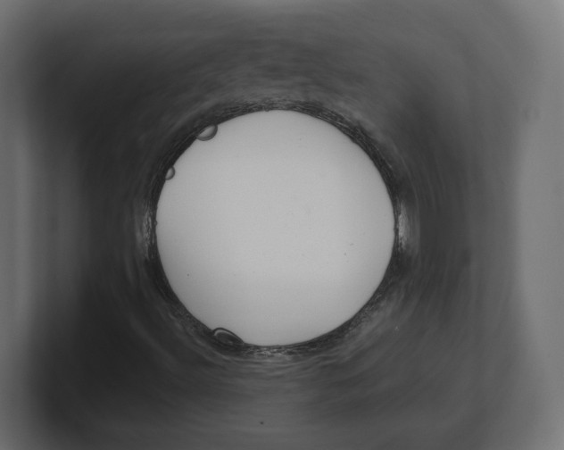 X0000100361492200806271412