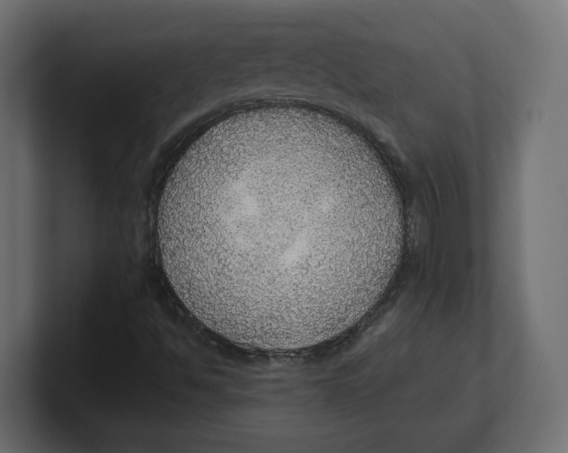 X0000100361494200806271412