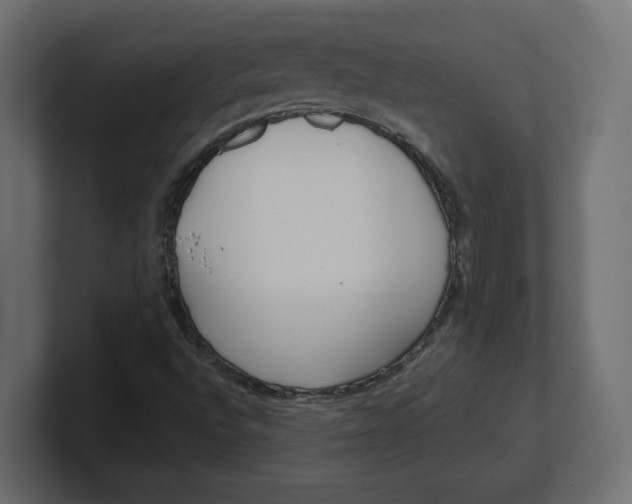 X0000100361496200806271412