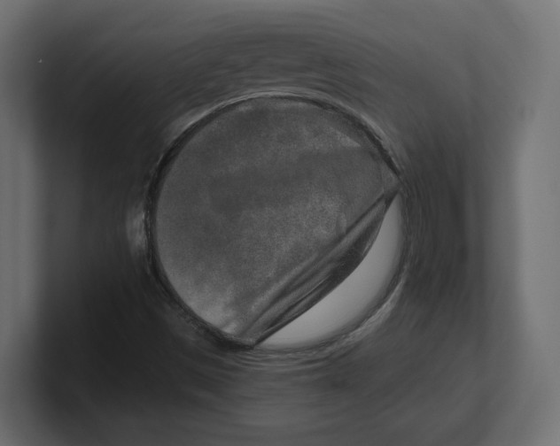 X0000100361497200806271412