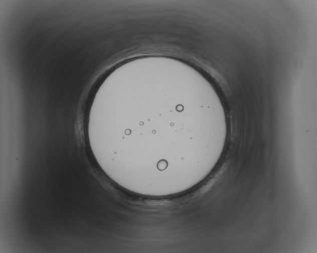 X0000100361498200806271412