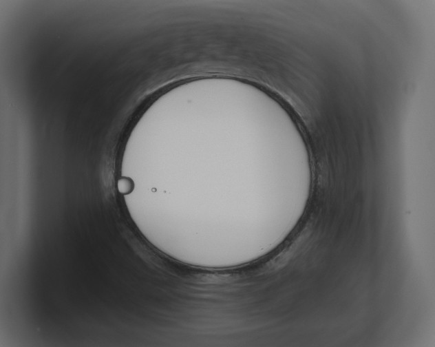 X0000100361499200806271412