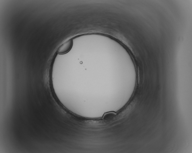 X0000100361500200806271412