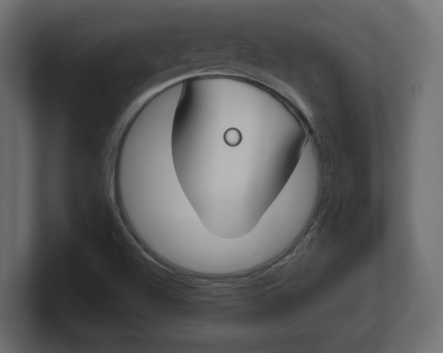 X0000100361504200806271412