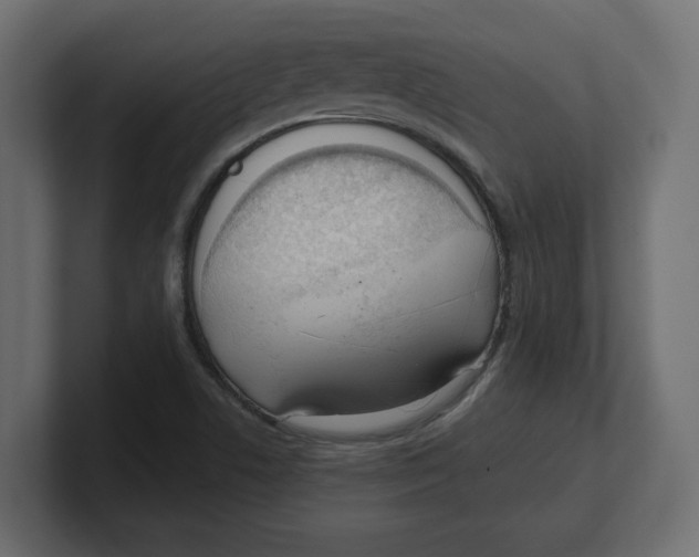 X0000100361506200806271412