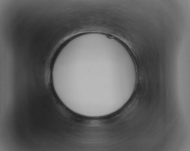 X0000100361507200806271412