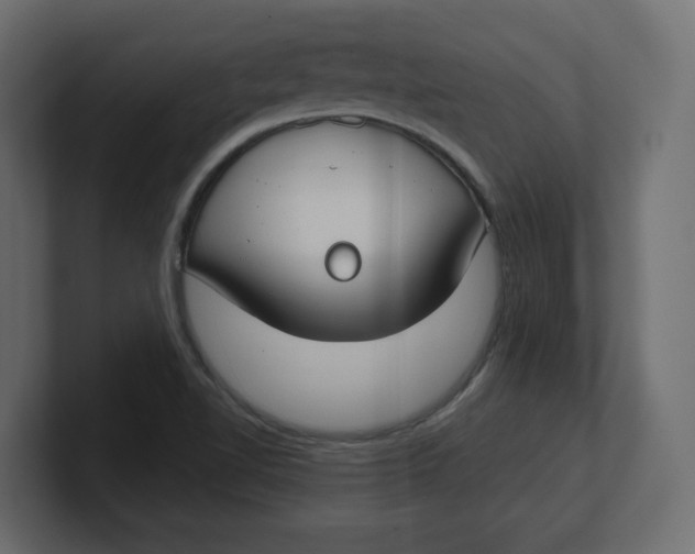 X0000100361510200806271412