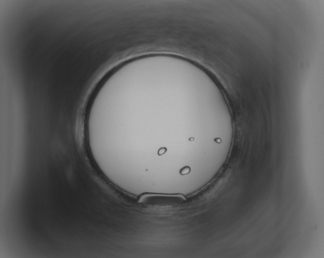 X0000100361511200806271412