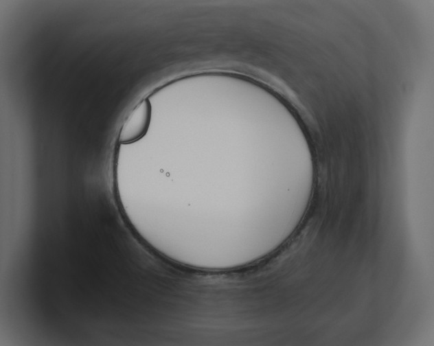 X0000100361512200806271412