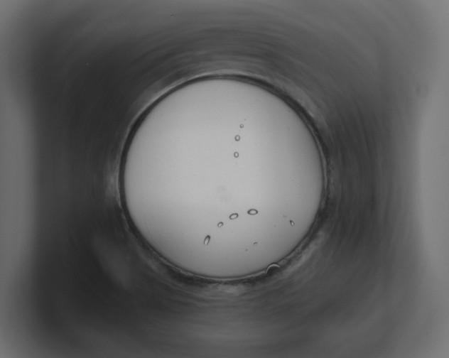 X0000100361513200806271412