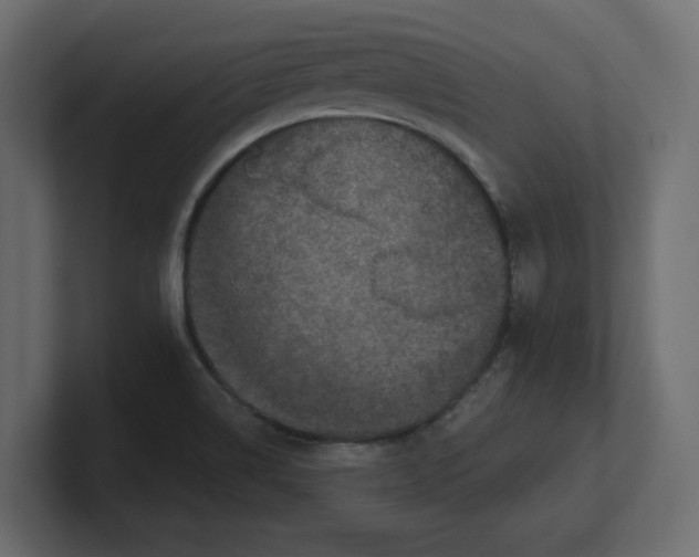 X0000100361514200806271412